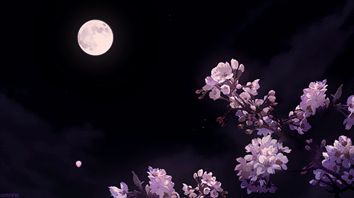 Moon Bloom